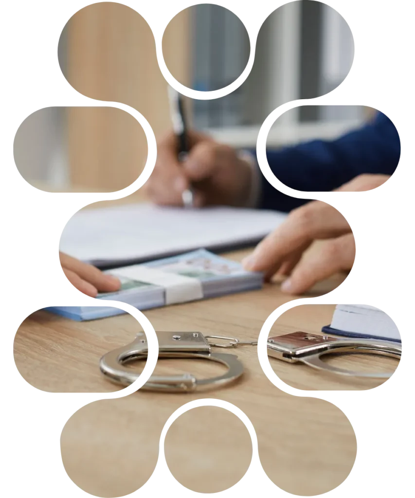 Criminal Protective Bail